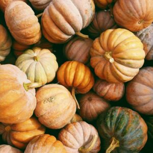 Pumpkins of all different shapes and sizes, from above. in a big pile